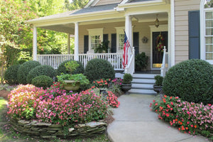 How to Upgrade Your Curb Appeal