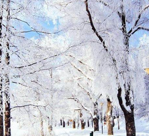 TOP Six Outdoor Winter Activities